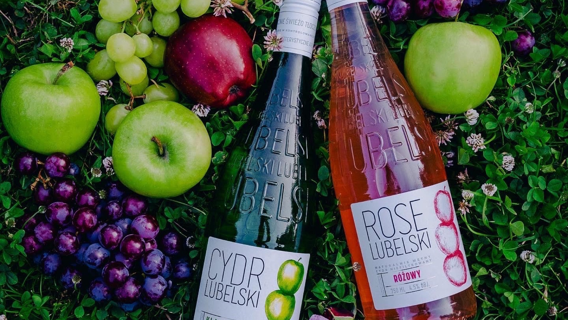 Cydr Lubelski w piknikowej scenerii - fotografia dla marek